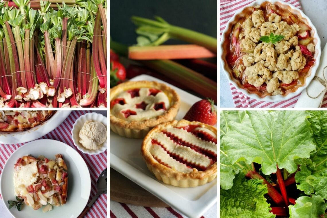 Rhabarber Bildmontage