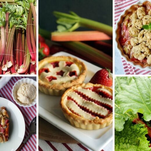 Rhabarber Bildmontage