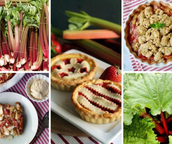 Rhabarber Bildmontage